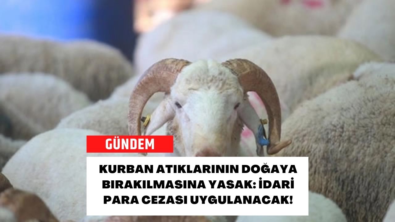 Kurban Atıklarının Doğaya Bırakılmasına Yasak: İdari Para Cezası Uygulanacak!